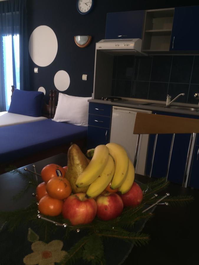 Apartmani Berghaus ズラティボール エクステリア 写真