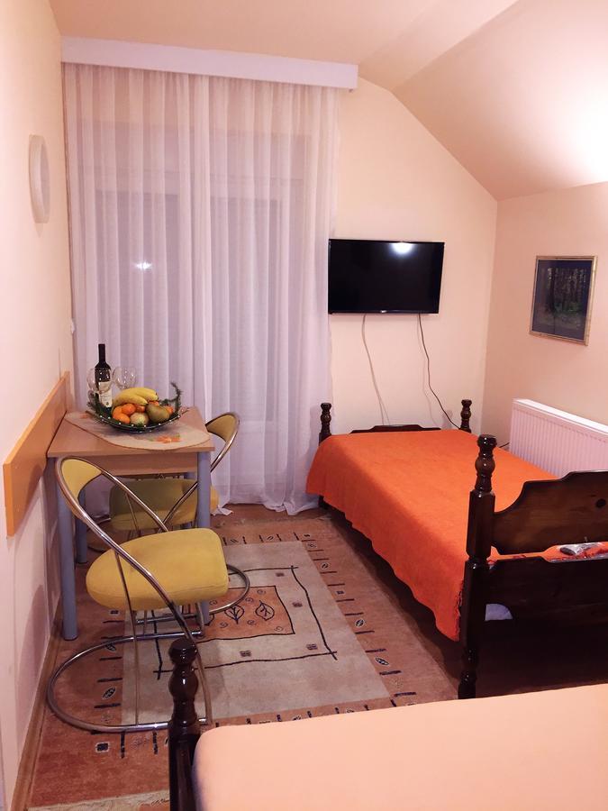 Apartmani Berghaus ズラティボール エクステリア 写真