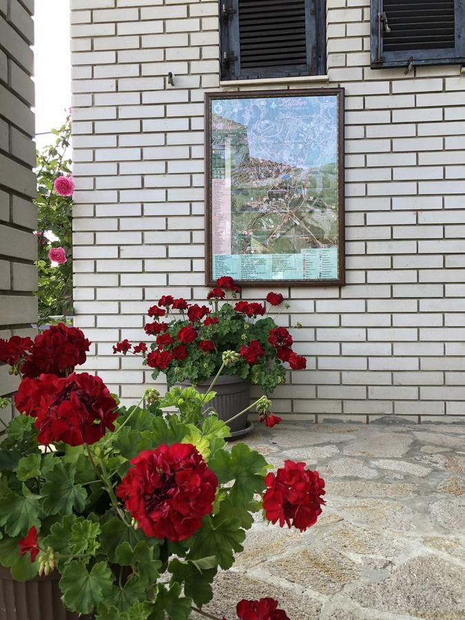 Apartmani Berghaus ズラティボール エクステリア 写真